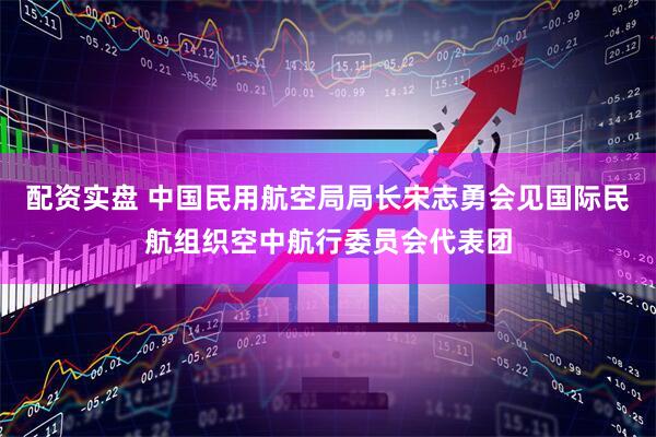 配资实盘 中国民用航空局局长宋志勇会见国际民航组织空中航行委员会代表团