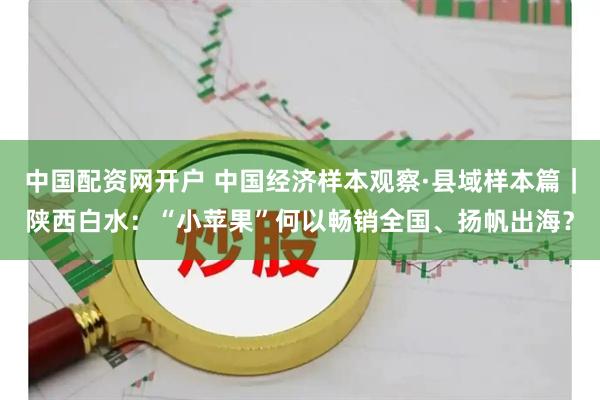 中国配资网开户 中国经济样本观察·县域样本篇｜陕西白水：“小苹果”何以畅销全国、扬帆出海？